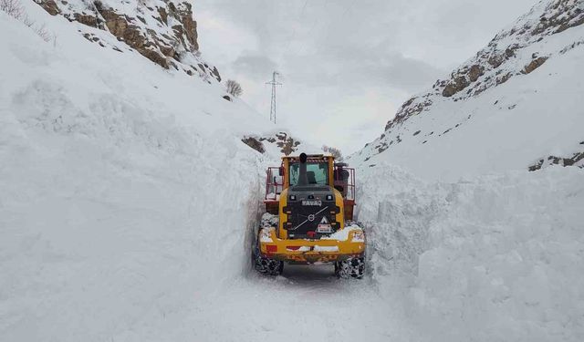 Hakkari-Çukurca yolunda çığ paniği: O anlar kamerada