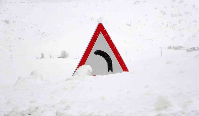 Kar yağışı Bitlis'te etkisini artırdı: 100 köy yolu ulaşıma kapandı