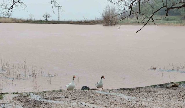 Kuruyan Sülüklü Göl yeniden canlandı