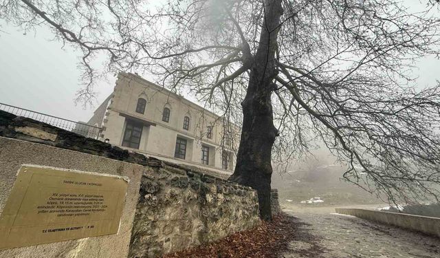 Lice'deki 486 yıllık Atak Ulu Camii sis içinde kaldı