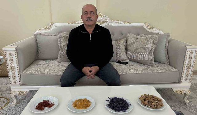 'Yapamazsın' diyenlere inat yetiştirdiği safran ve salebi evinde tüketiyor