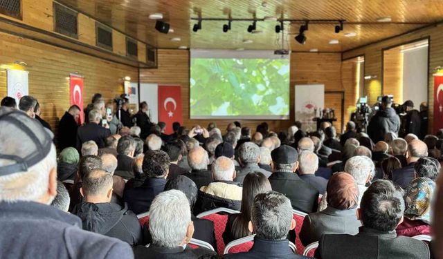 AB tarafından tescillenen Yenice ıhlamur balı tanıtıldı