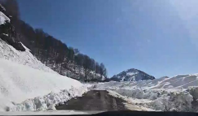 Artvin'de Macahel geçidi yeniden ulaşıma açıldı