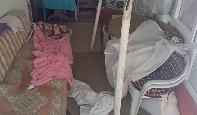 Ayıların Sis Dağı'ndaki yayla evlerine girme mesaisi yeniden başladı