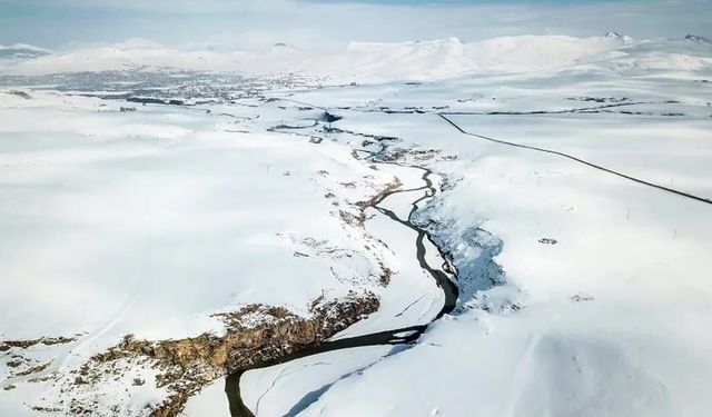 Bahar kapıdayken Diyadin'de kış geri döndü
