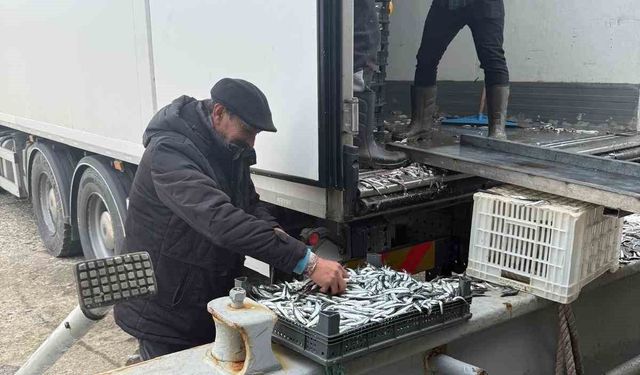 Balıkçı Ramazan'da ücretsiz hamsi dağıttı