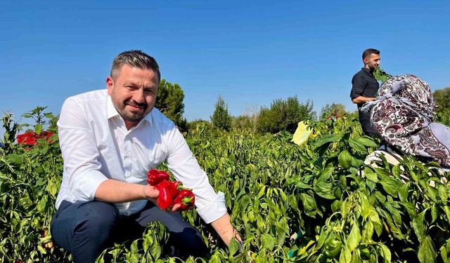 Başkan Aydemir'den, Balıkesir çiftçisine 867 milyon TL'lik müjde
