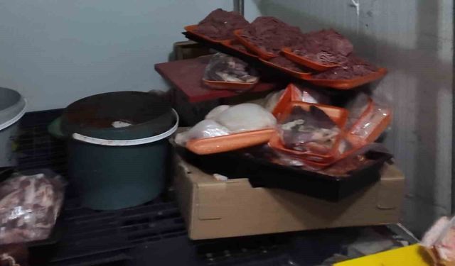 Baskın yapılan kasaptan mide bulandıran küflü ve bozuk etler çıktı