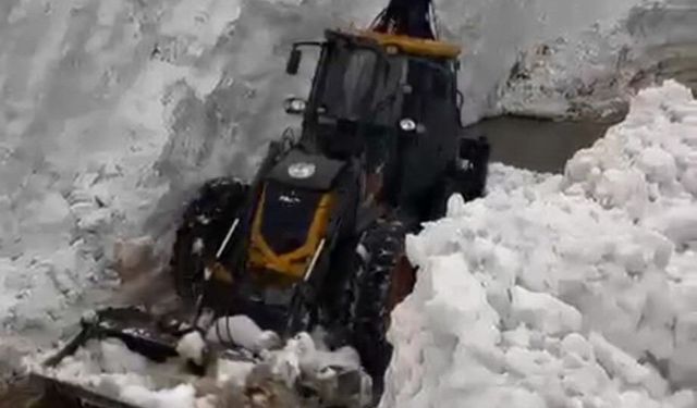 Bitlis'te çığ ve heyelan meydana geldi