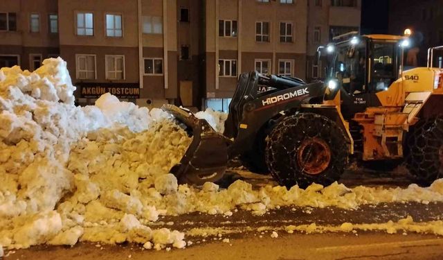 Bitlis'te kaldırımlardaki karlar kamyonlarla taşınıyor