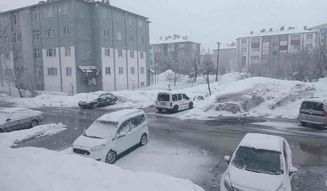 Bitlis'te kar yağışı