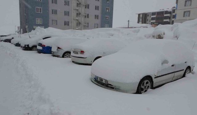 Bitlis'te mart karı 288 köy yolu ulaşıma kapattı