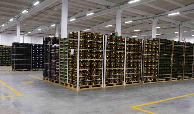 BRCGS S&D sertifikalı A101 deposu 5'inci kez AA notu aldı