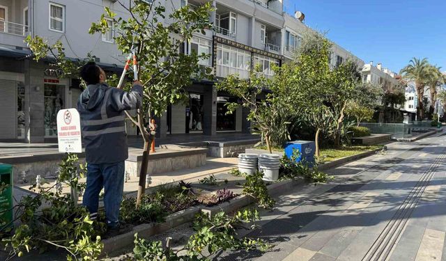 Büyükşehir'den Kemer'de peyzaj düzenlenesi