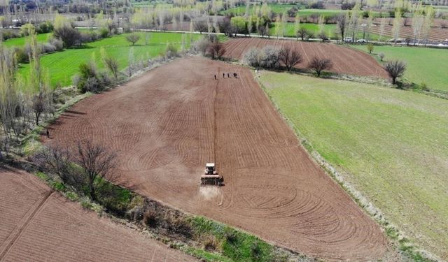 Çiftçinin enflasyonu şubatta yavaşladı