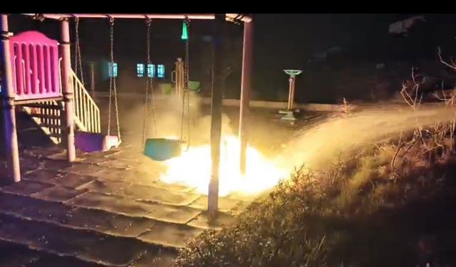 Çocukların yaktığı ateş parkı alev topuna çevirdi