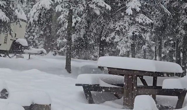 Düzce'nin yüksek kesimleri beyaza büründü: Kar kalınlığı 40 santimetreye ulaştı
