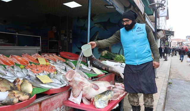 Elazığ'da dev turna yakalandı