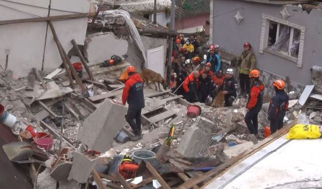 Fatih'te çöken binada enkaz altında kalanları kurtarma çalışmasına köpeklerde katıldı