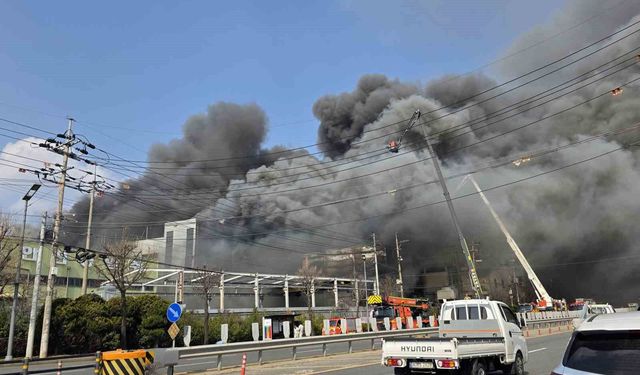 Güney Kore'de fabrikada patlama ve yangın: 14 ölü, 59 yaralı