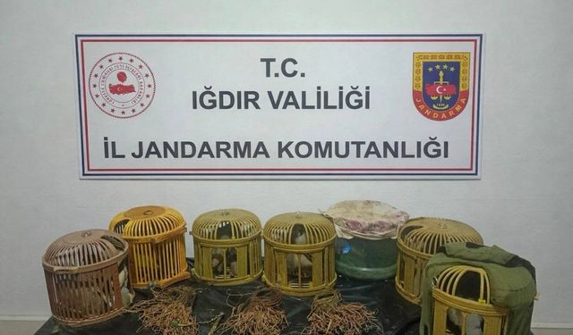 Iğdır'da kaçak keklik avcılarına 175 bin TL ceza