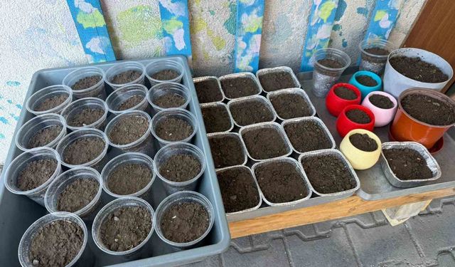 Iğdır'da Nevruz'un simgesi semeniler hazırlanmaya başlandı