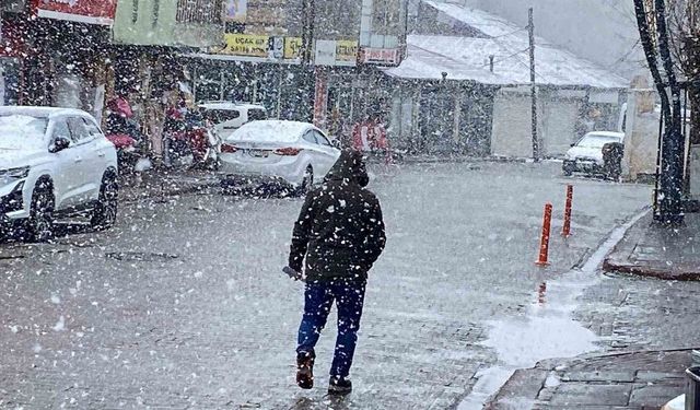 Karlıova'da kar etkili oldu