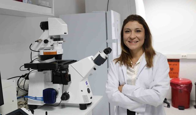 Kemik erimesinin tedavisinde uluslararası iş birliği