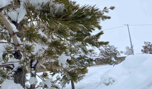 Mart ayında Ağrı'da kar yağışı etkili oldu