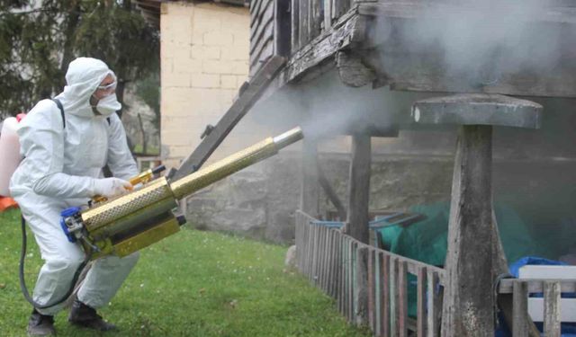 Ordu'da kahverengi kokarca ile kışlak mücadelesi: 330 bin noktadan 190 bini ilaçlandı