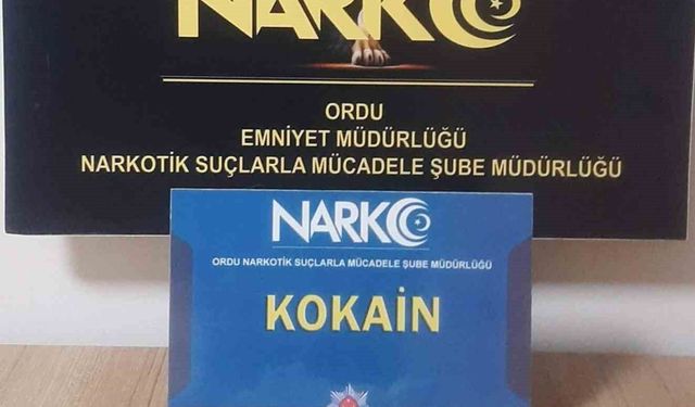 Ordu'da uyuşturucu operasyonlarında 2 tutuklama