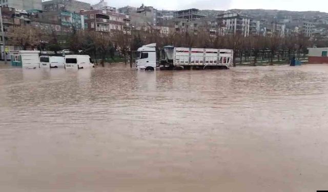 Şanlıurfa'da sağanak yağış sele dönüştü: Ev ve oteli su bastı