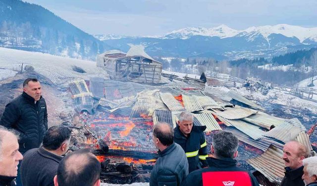 Şavşat'ta yangın: 1 ev, 2 ahır ve 2 ambar kül oldu