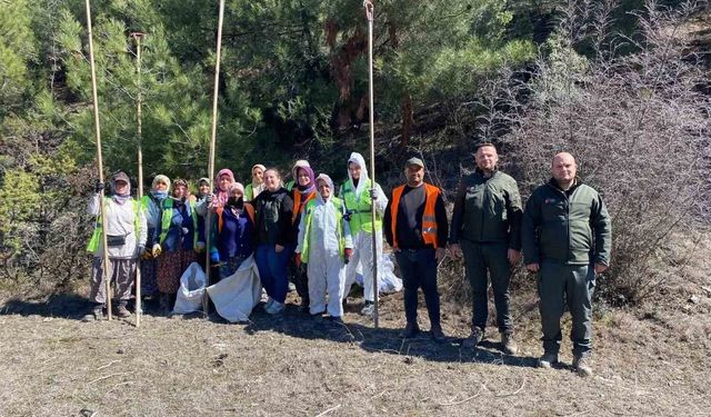 Sinop ormanlarında zararlılara karşı biyolojik savaş