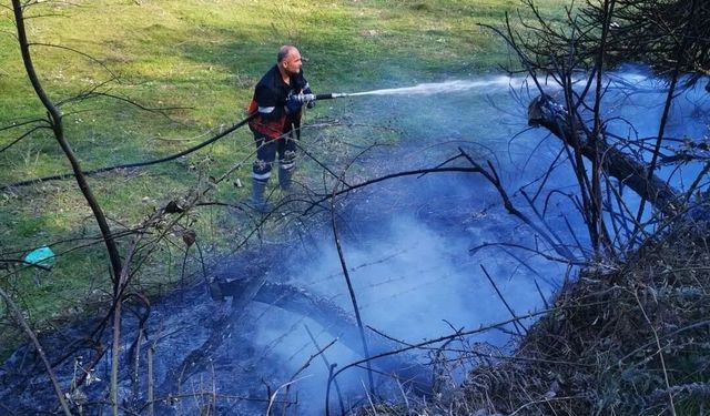 Sinop'ta yangın paniği