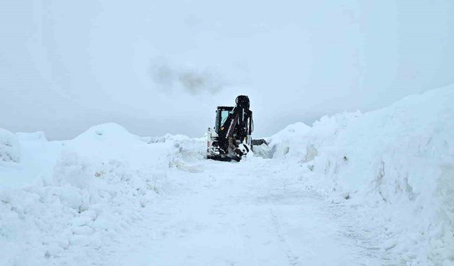 Süphan Dağı tırmanışına tipi ve kar engeli