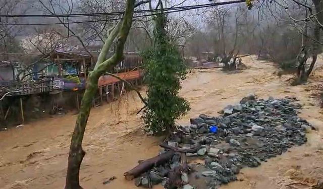 Yalova'da sağanak yağışta dereler taştı, 5 büyükbaş hayvan telef oldu