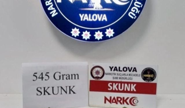Yalova'da uyuşturucu operasyonları: 1 tutuklama