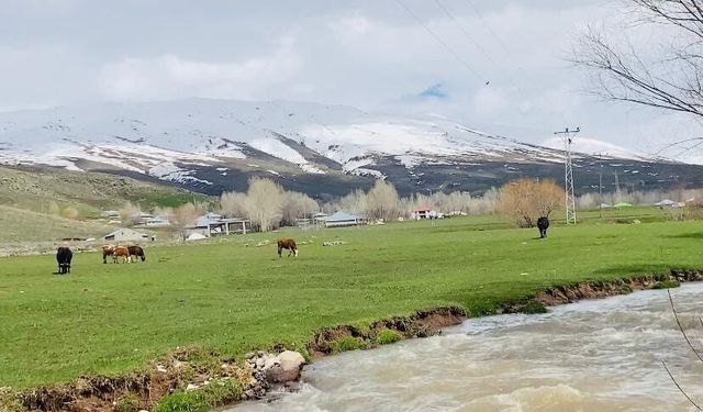Ağrı'da iki mevsim bir arada