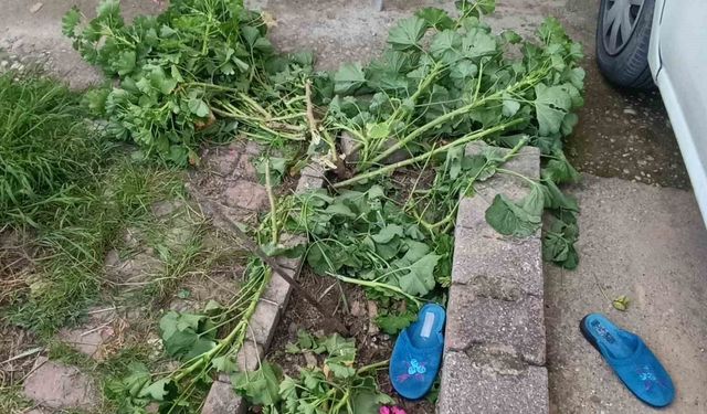 Antalya'da küçük çocuk ikinci kattan düştü, olayı kırıklarla atlattı