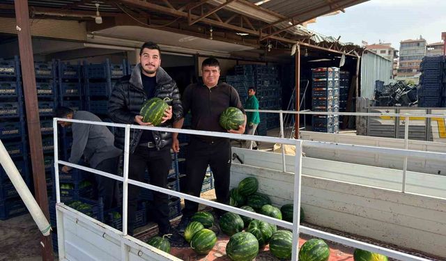 Antalya'da sezonun ilk karpuz hasadı yapıldı