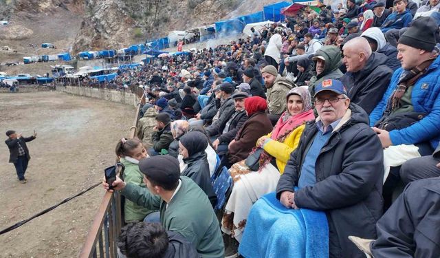 Artvin'de boğa güreşleri sezonu Sarıgöl'de açıldı