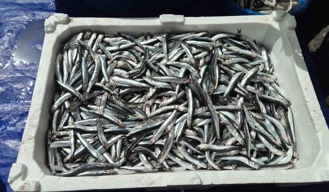 Av yasağı öncesi pazarda yoğunluk