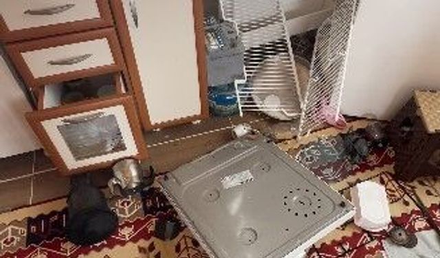 Ayılar Trabzon'da yaylalardan sonra mahallelere dadandı