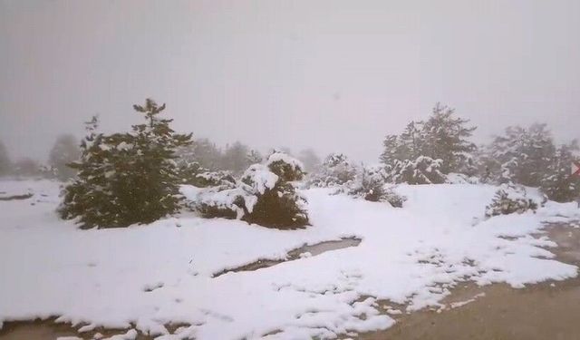 Baharı beklerken kar geldi