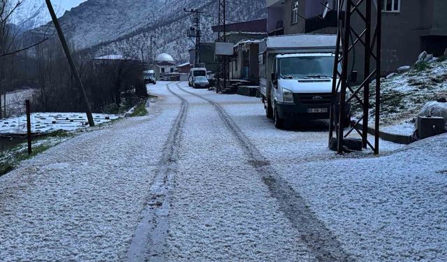 Beytüşşebap'ta dolu yağışı her yeri beyaza bürüdü