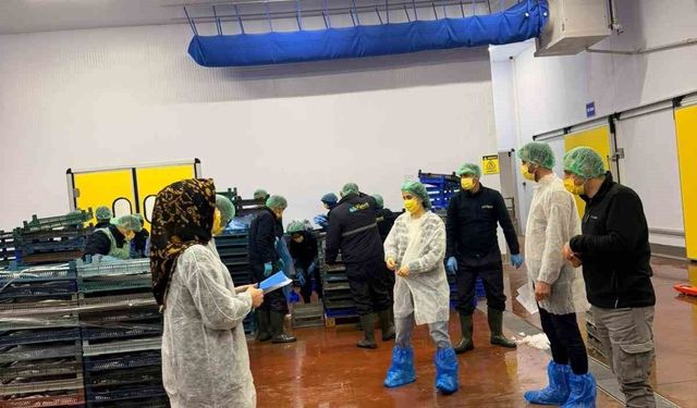 Bingöl'de balık işleme tesisleri denetlendi