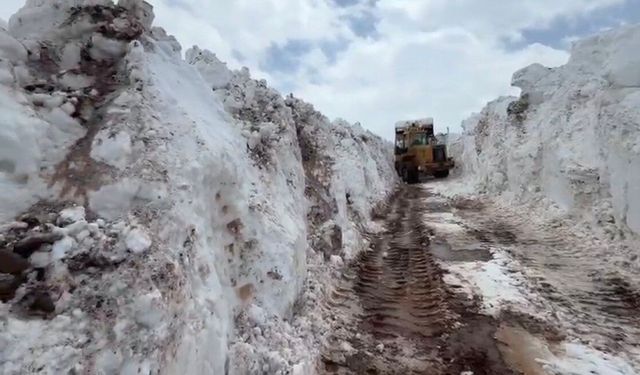 Bingöl'de nisan ayında metrelerce karla mücadele