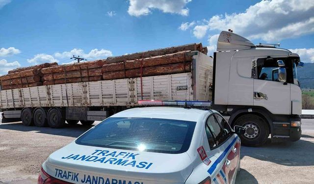 Bolu'da fazla tonajlı tomruk taşıyan kamyon sürücüsüne para cezası kesildi