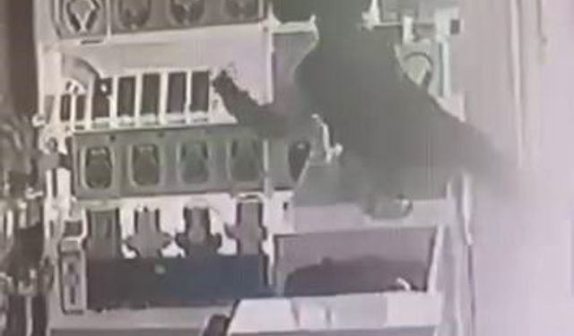 Böyle hırsızlık görülmedi: Masanın üstüne çıkıp vitrindeki telefonları alarak kaçtı